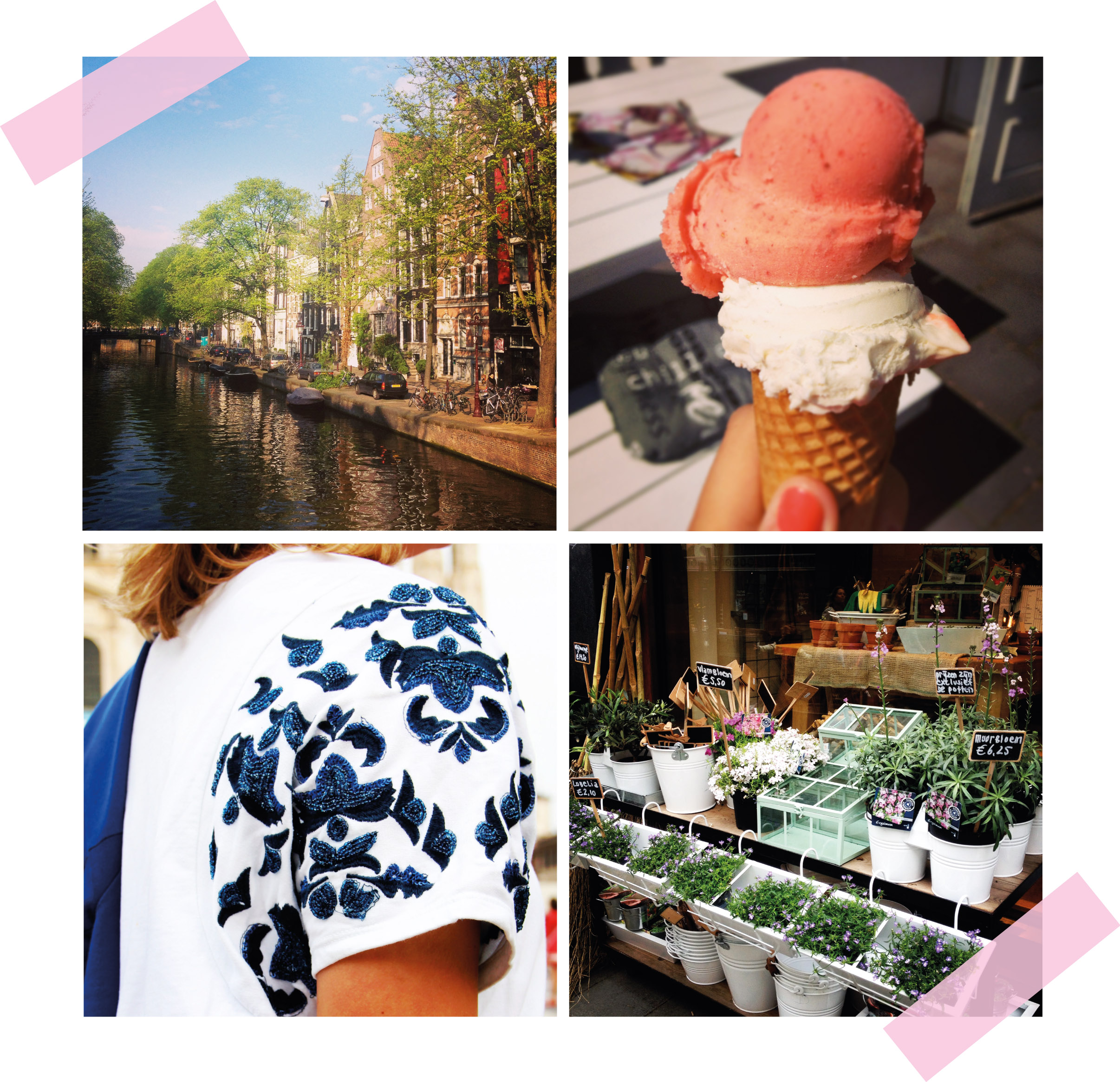Week Diary #1
