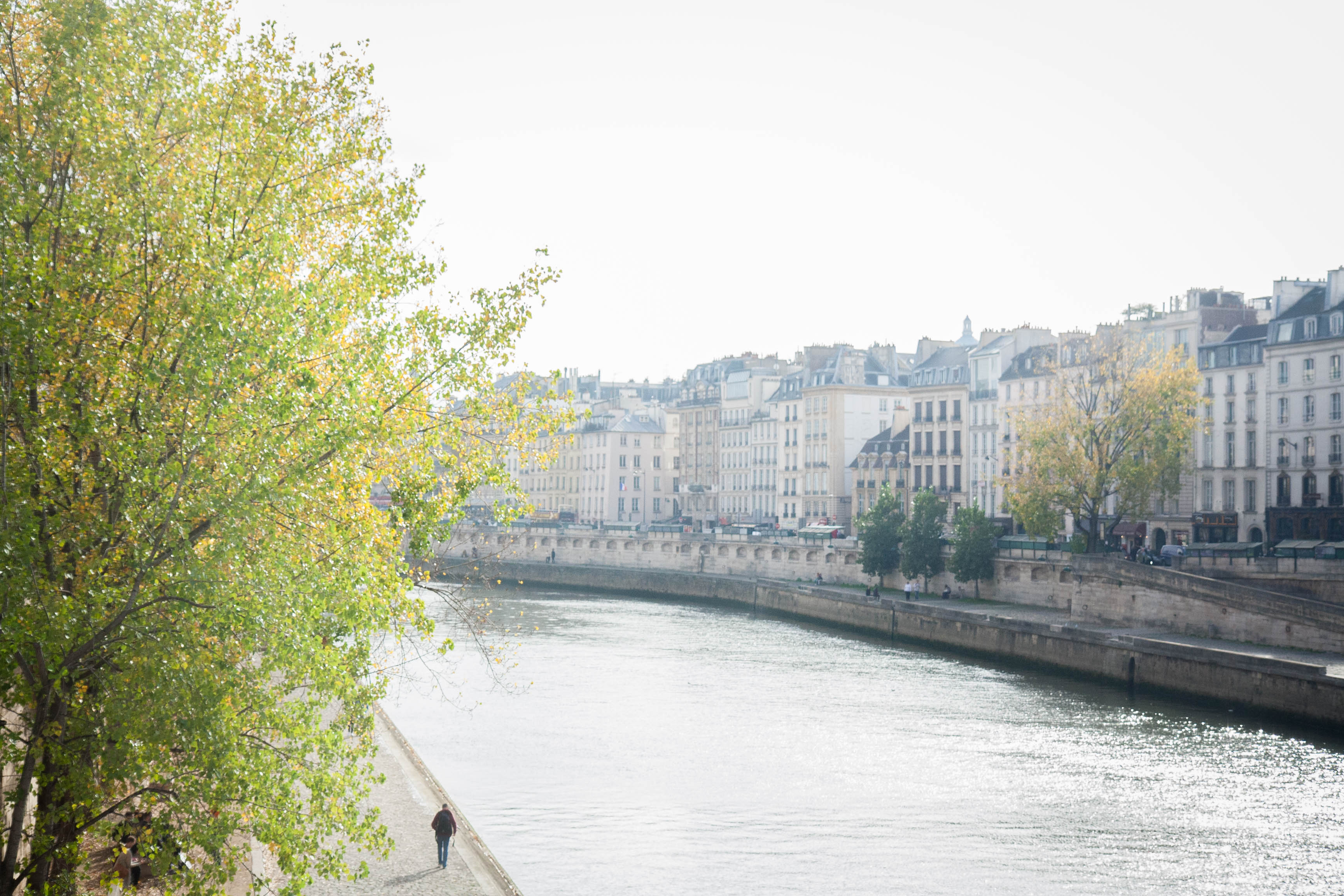 Oh so pretty Paris